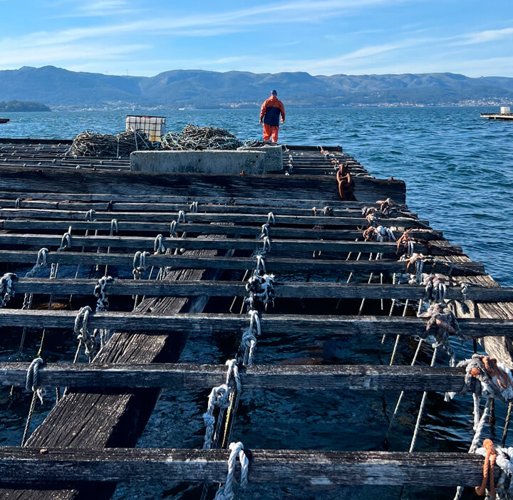 pescaturismogalicia.es Excursiones para ver las bateas de mejillones en el Islote de Areoso desde la Isla de Arosa